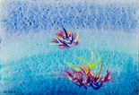 Sea flowers, 1989

Acryl auf Papier, 16 x 24 cm, gerahmt
signiert und datiert

Ausrufpreis: 350,-