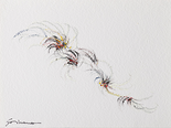 Winter flowers,  1978

Acryl auf Papier, 30 x 40 cm, gerahmt
signiert

Ausrufpreis: 750,-
