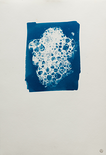 Rana Pipa - der Keim der Dinge #15, 2023

Direktbelichtung von Seifenblasenschaum / Cyanotypie auf Baumwoll-Bütte, ca. 37,5 x 26 cm, gerahmt
gestempelt, rückseitig signiert und beschriftet

Ausrufpreis: 250,-
